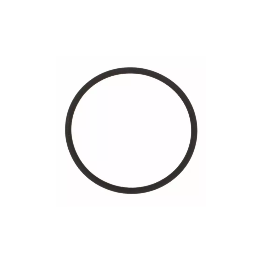 6.4 Ford OEM Valve O-ring