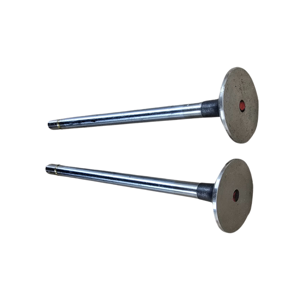 Exhaust Valve 6.4L Powerstroke