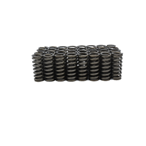 6.0_6.4_springs