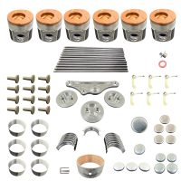 Rebuild/Overhaul Kit