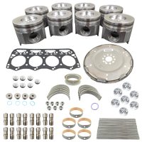 Rebuild/Overhaul Kit