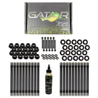 Head Studs or Bolts