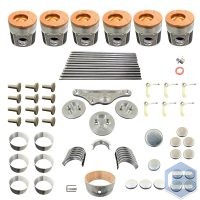 Rebuild/Overhaul Kit