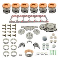 Rebuild/Overhaul Kit