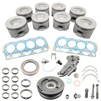 Rebuild/Overhaul Kit