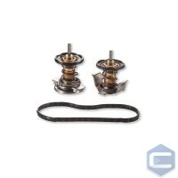 6.4L Powerstroke Coolant Thermostat Kit