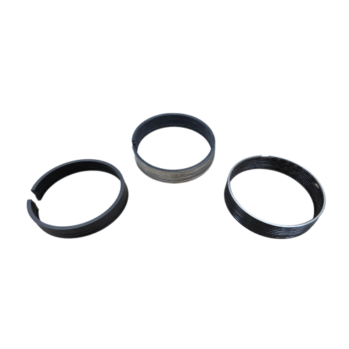 Mahle Piston Ring Set 40 Over