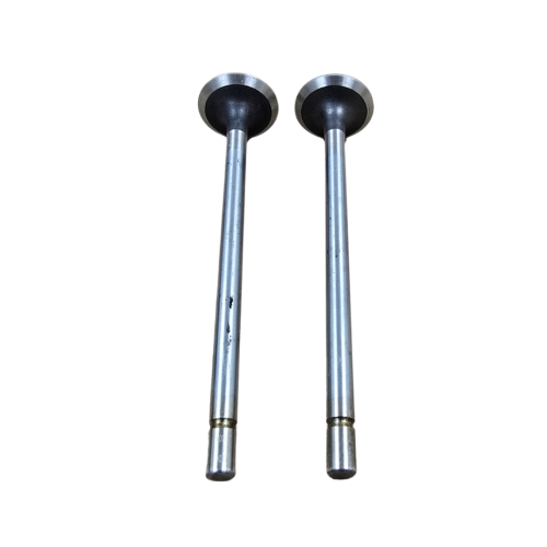 6.4 Powerstroke Exhaust Valve