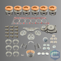 Rebuild/Overhaul Kit