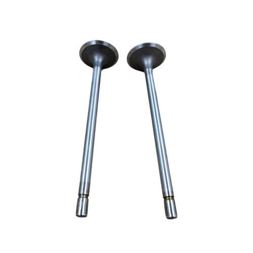 Engine Pro Intake Valve