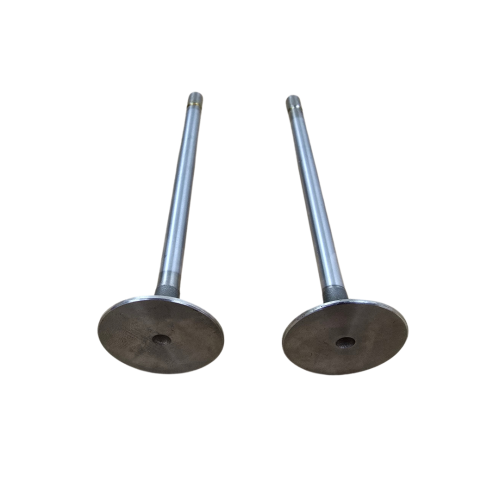 Engine Pro Intake Valve