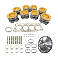 Rebuild/Overhaul Kit