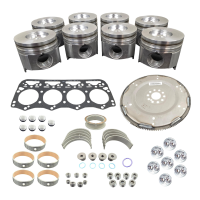 Rebuild/Overhaul Kit