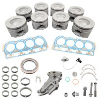 Rebuild/Overhaul Kit