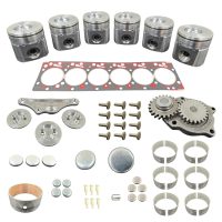 Rebuild/Overhaul Kit